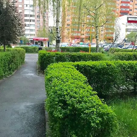 Apartament Kira * Брашов